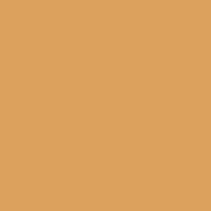 May include: A solid, plain, light brown background.