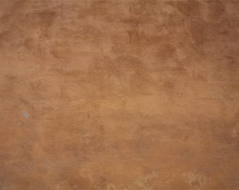 May include: A close-up of a textured, brown wall. The wall has a rough, uneven surface and a slightly orange hue.