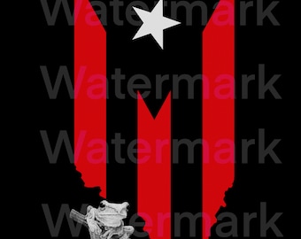 Bandera y mapa de Puerto Rico coqui  .png file transparent background