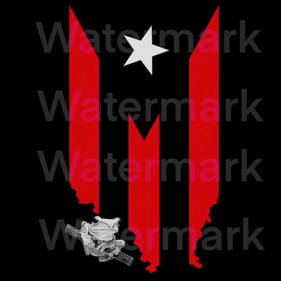 Bandera y mapa de Puerto Rico coqui  .png file transparent background