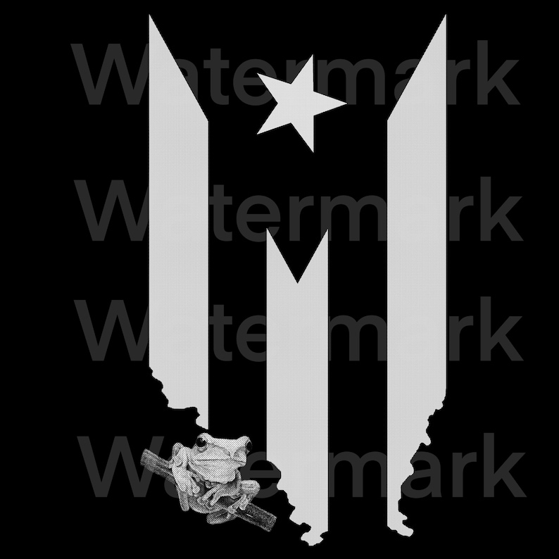 Bandera y mapa de Puerto Rico coqui .png file transparent background image 2