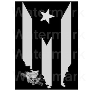 Bandera y mapa de Puerto Rico coqui .png file transparent background image 3