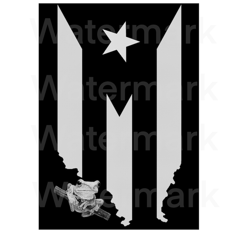 Bandera y mapa de Puerto Rico coqui .png file transparent background image 3