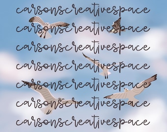 Seagulls in the sky hand drawn png download with transparent background