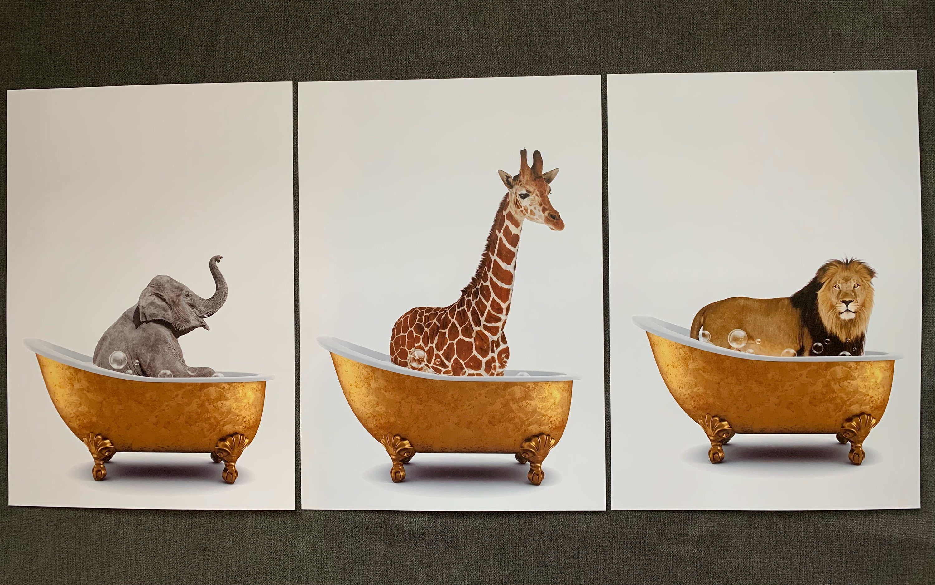 Animals in Bath Bathtub Unframed Wall Art Print Poster Home | Etsy