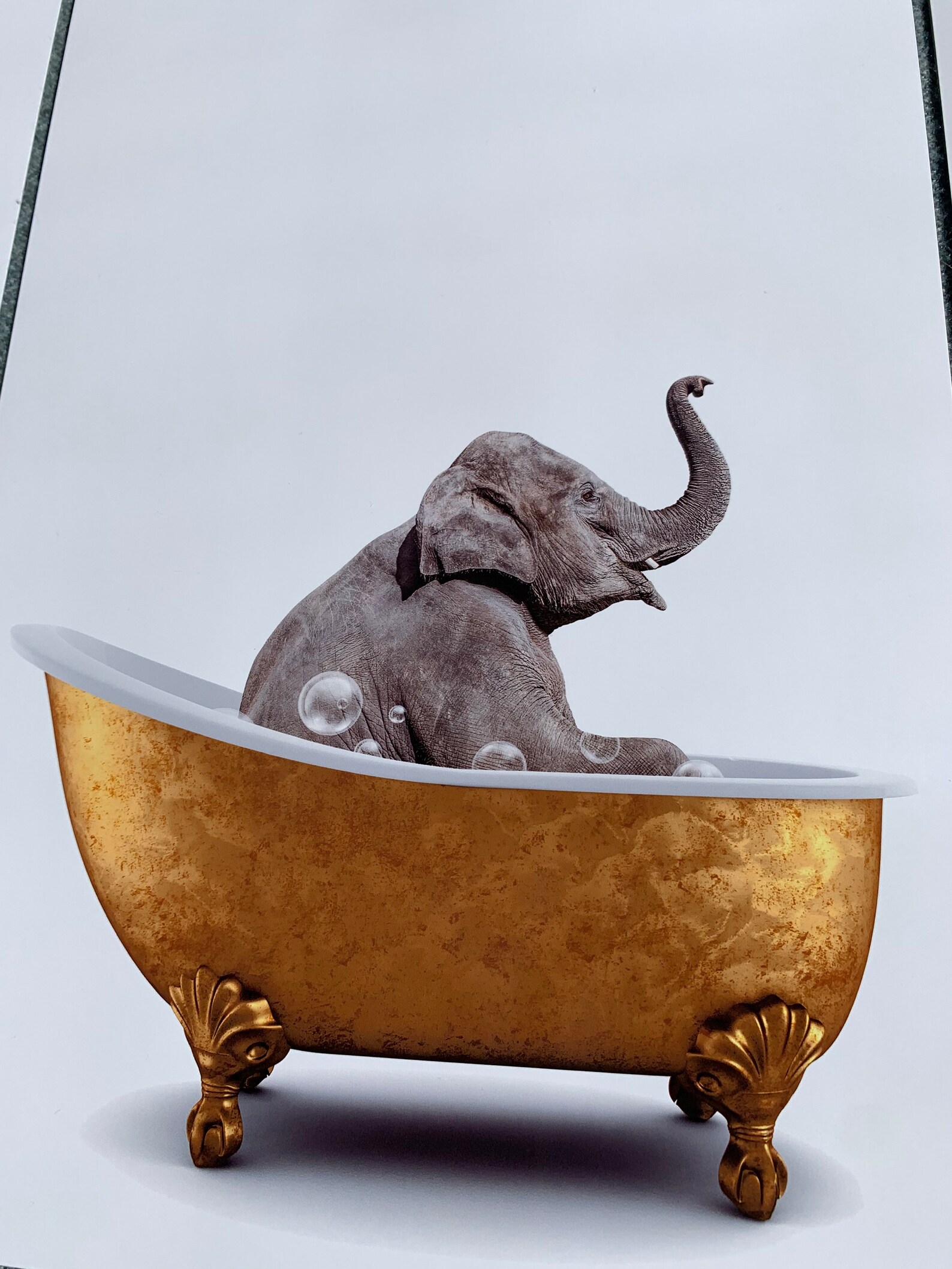 Animals in Bathtub Set of 3 Unframed Wall Art Print Poster - Etsy UK