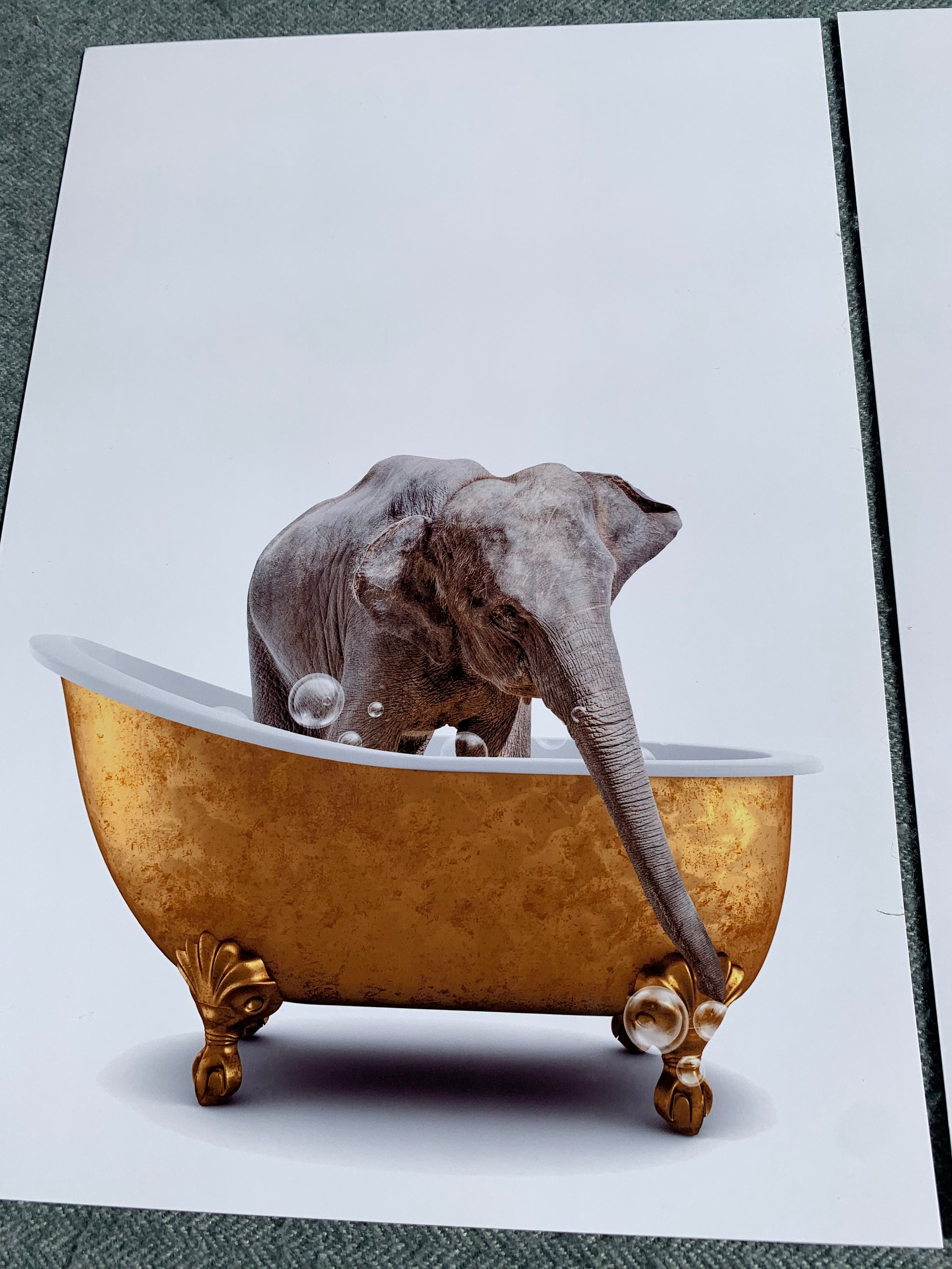 Animals in Bathtub Set of 3 Unframed Wall Art Print Poster - Etsy UK