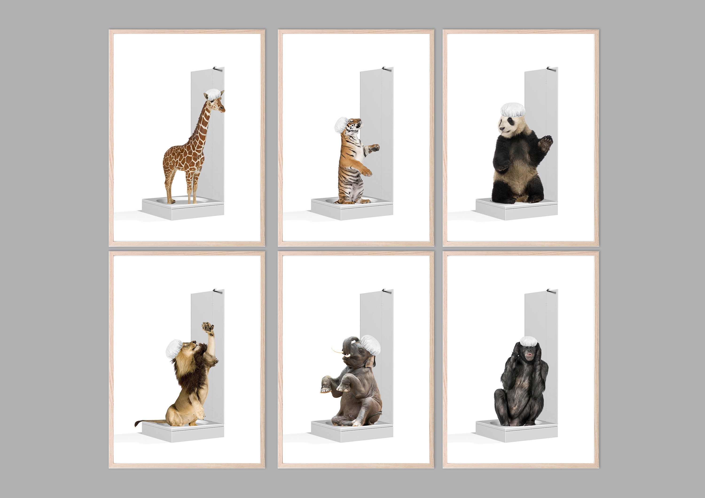 Animals in Shower Unframed Wall Art Print Home Decor Etsy UK