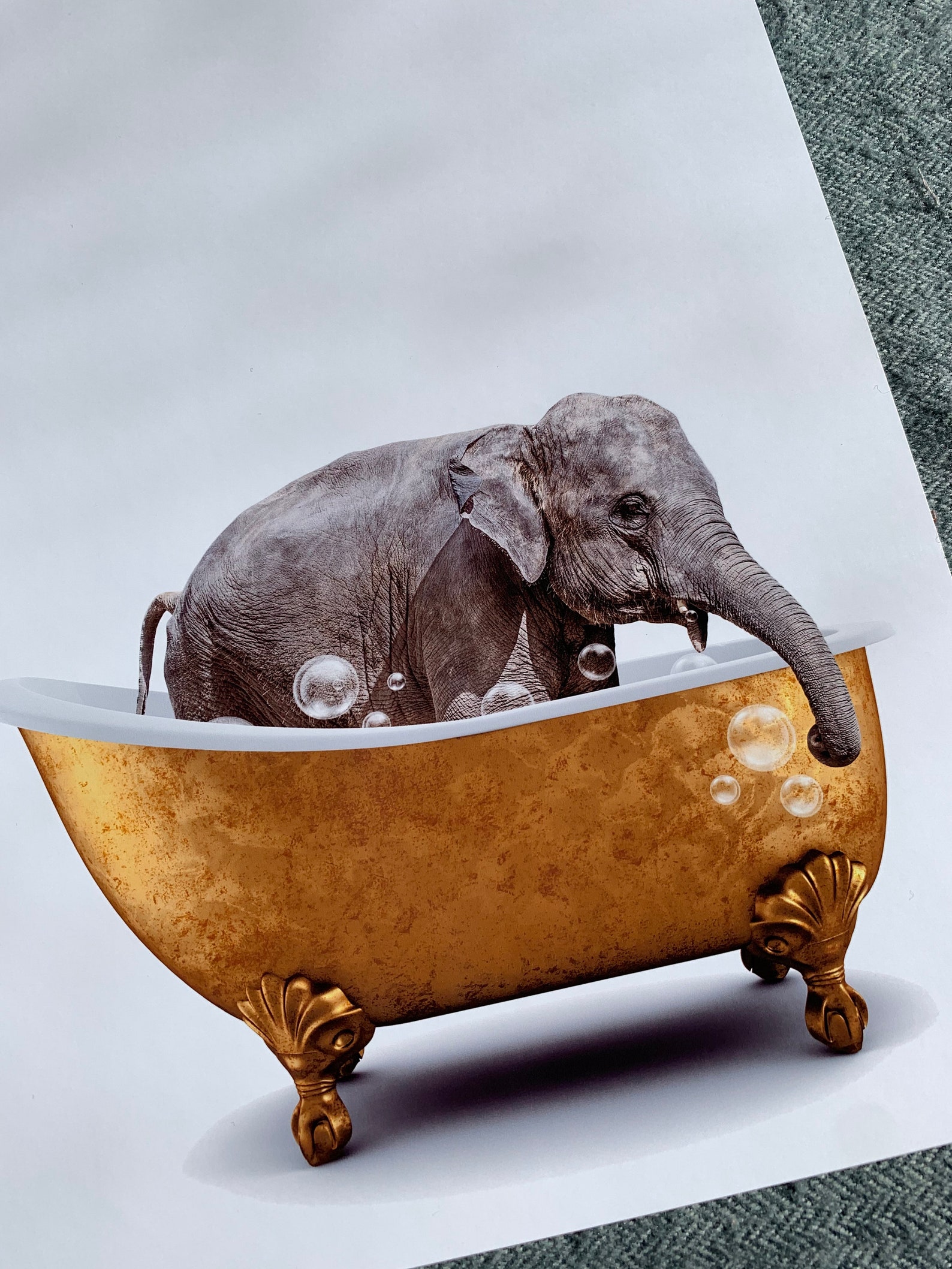 Animals in Bathtub Set of 3 Unframed Wall Art Print Poster - Etsy UK
