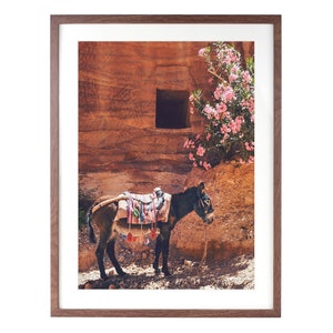 Printable boho donkey photo - desert animal print, Terracotta wall art, Petra Jordan Instant Download