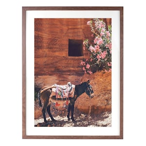 Printable boho donkey photo - desert animal print, Terracotta wall art, Petra Jordan Instant Download