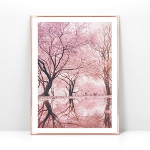 Druckbares Foto von blühenden Kirschbäumen, floraler digitaler Kunstdruck - Sofortiger Download