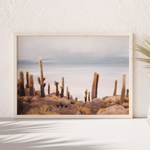Download druckbare Küsten Kaktus Landschaft Foto, Wüste Pflanze digitale Kunstdrucke - Strand Ozean Instant Download