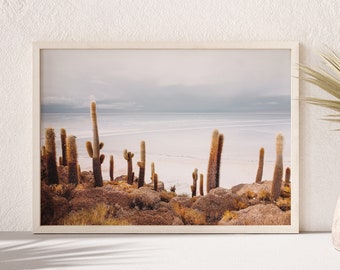 Download printable Coastal Cactus landscape photo, desert plant digital art prints - beach ocean Instant Download