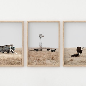 SET OF 3 Farmhouse Cow prints, modern farmhouse decor, rustic wall art, Instant Download