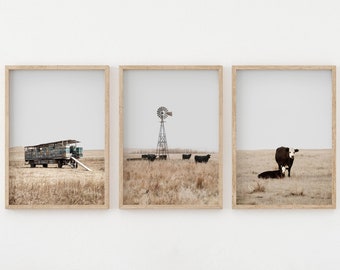 May include: A set of three framed photographs depicting a rural landscape. The first photo shows a vintage farm wagon in a field. The second photo shows a windmill in a field with cattle. The third photo shows a cow and calf in a field.