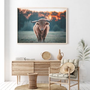 Printable Highland Cow Photo Farmhouse Decor Horizontal - Etsy