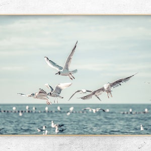 Printable photo of birds flying over the ocean, coastal wall art, minimalist beach print, seagull photo, Instant download