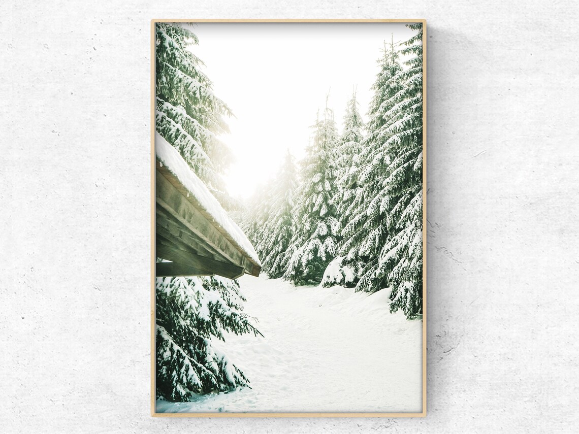 SET OF 6 Winter Forest Prints , Reindeer Photo, Chalet, Snow Christmas ...