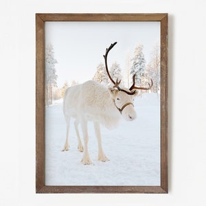 Winter Set of 6 Prints, White Reindeer, Snow Forest Photo, Log Cabin ...