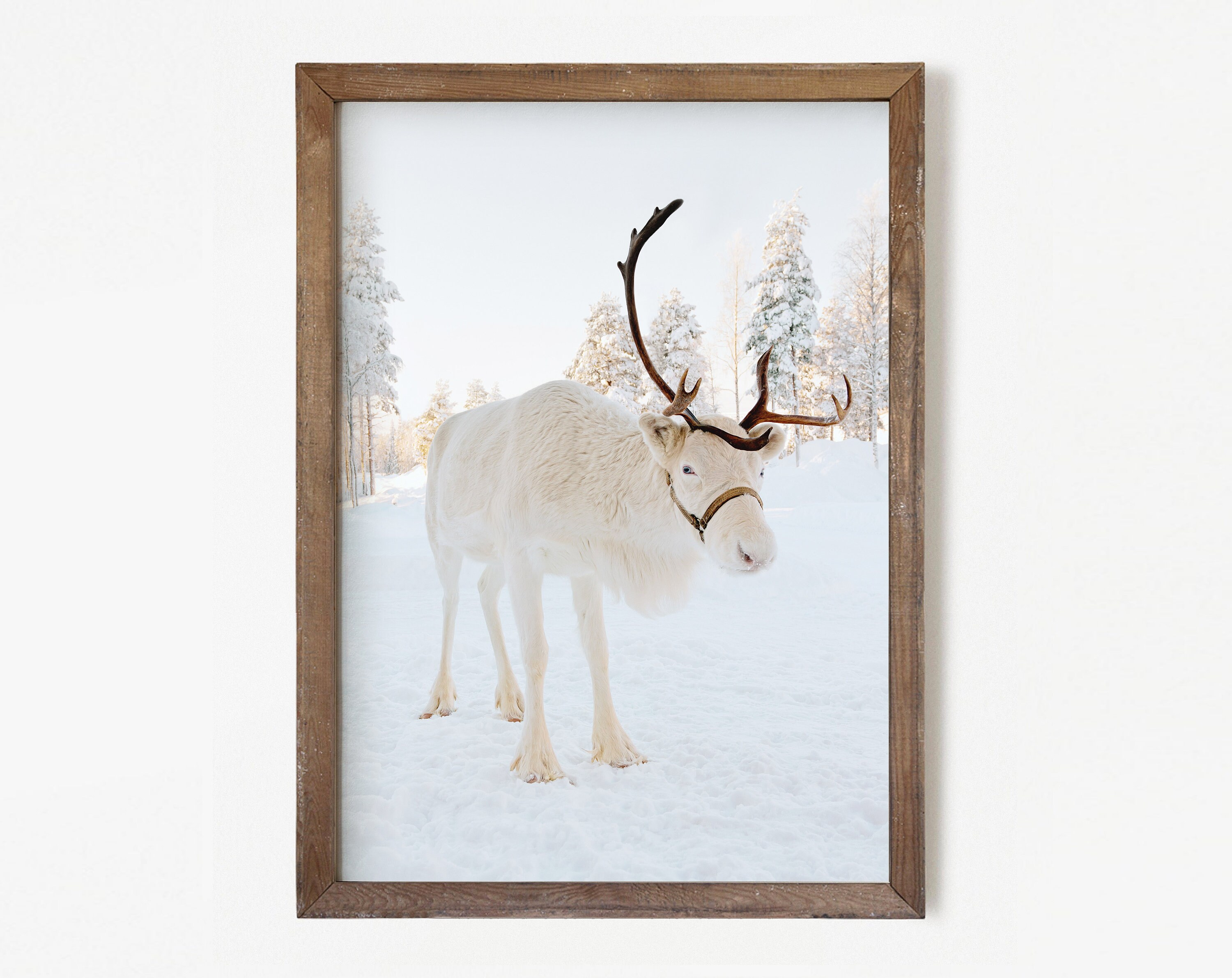 Winter Set of 6 Prints, White Reindeer, Snow Forest Photo, Log Cabin ...