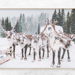 Printable photo group of reindeer in the snow forest, horizontal winter digital print, Instant Download