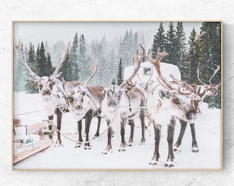 Printable photo group of reindeer in the snow forest, horizontal winter digital print, Instant Download