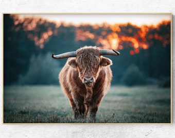 Printable Highland cow photo, Farmhouse decor, Horizontal Digital Print, Instant Download