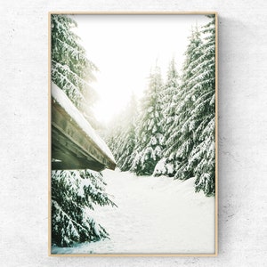 Printable  Winter forest Photo, snow Christmas wall Decor Digital Art Print, Instant Download