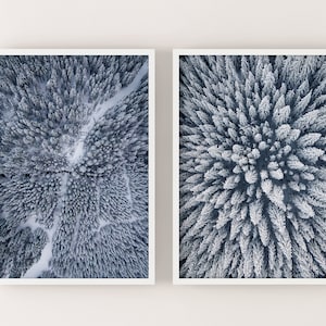 SET of 2 aerial photos of a pine forest in the snow - Download printable  monochrome winter Digital Art Print