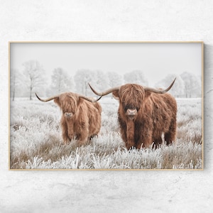 Foto para impressão de 2 vacas das montanhas na neve, decoração de fazenda de inverno, impressão digital horizontal, download instantâneo