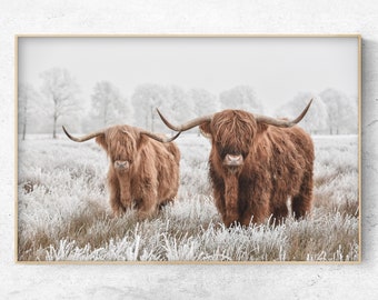 Printable Photo of 2 Highland cows in the snow, winter Farmhouse decor, Horizontal Digital Print, Instant Download