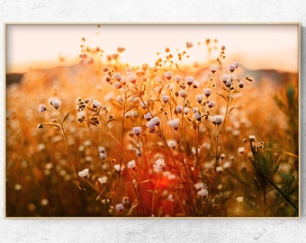 Photo de champ de fleurs sauvages blanches, Impression d’art numérique floral - Téléchargement instantané