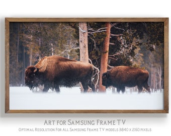 Samsung Frame TV art, winter bison photo, woodlands christmas Frame Tv, 4K digital art for TV display, instant download