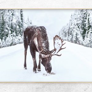 Digital moose print, deer in the snow, christmas home decor, horizontal winter print, Instant Download