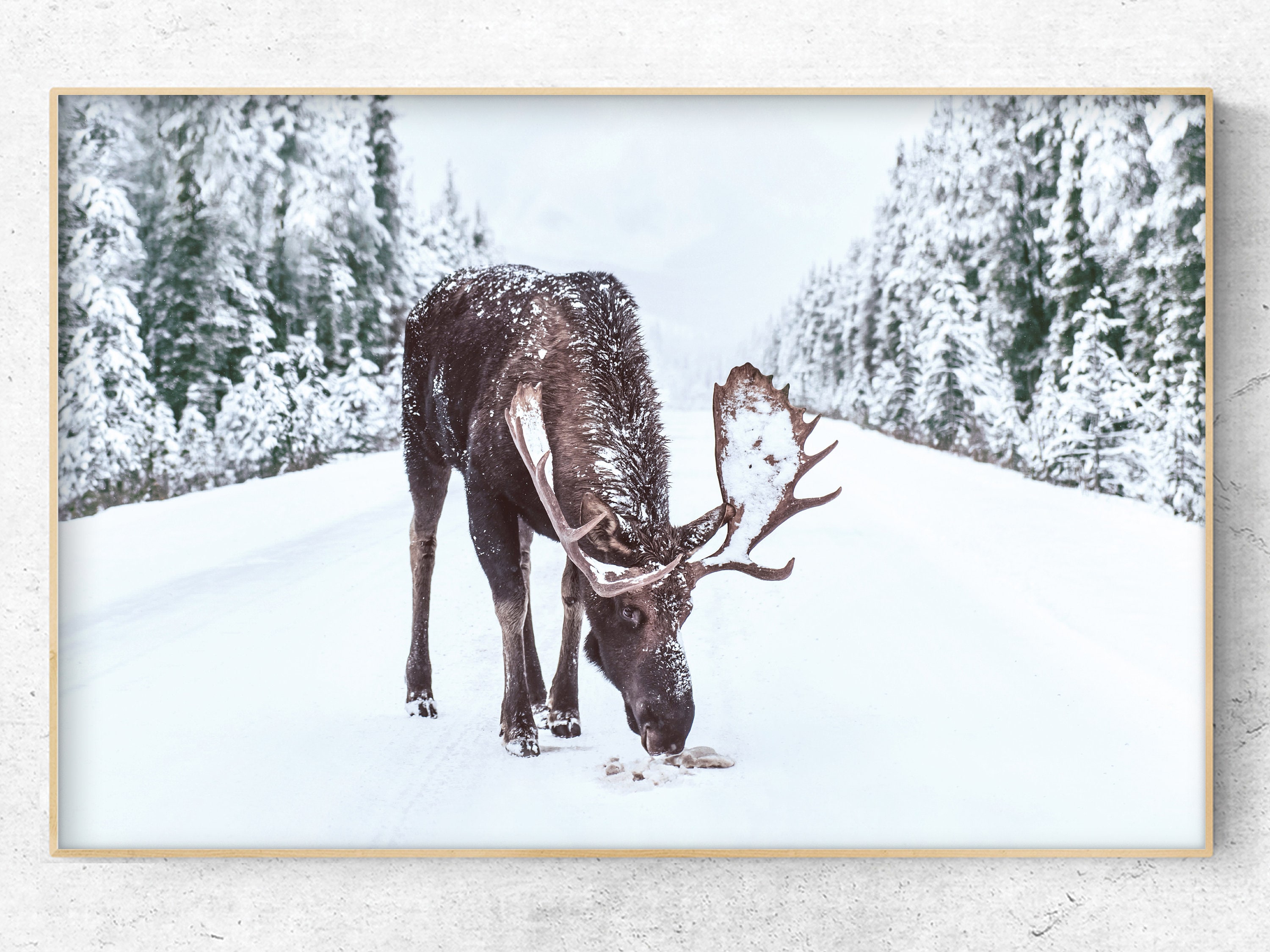 Digital moose print deer in the snow christmas home decor Etsy