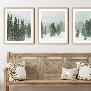 May include: Three framed winter landscape photographs of a snowy forest with evergreen trees. The photos are hanging on a white wall above a wooden bench with two throw pillows.