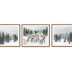 SET OF 3 printable Winter forest photos, snow Christmas trees, Holiday wall Decor, horizontal reindeer print, Digital Download