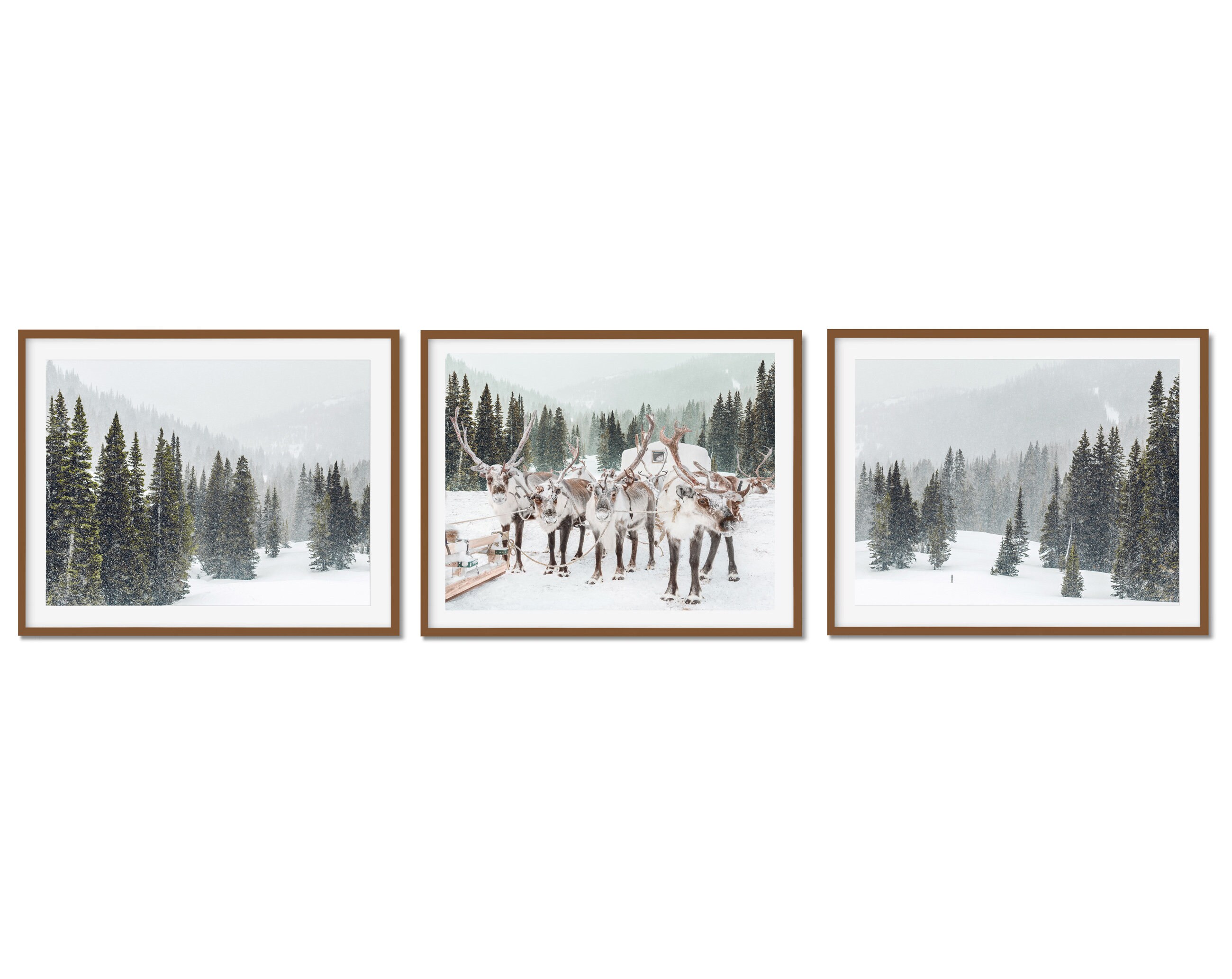 SET OF 3 printable Winter forest photos, snow Christmas trees, Holiday wall Decor, horizontal reindeer print, Digital Download