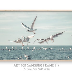 Samsung Frame TV art, Coastal TV art, Flying seagulls photo, 4K digital art for TV display, instant download