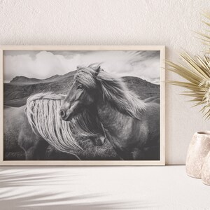 Printable Black and White Horse Photo, Animal Digital Print, Nordic Nature Instant Download - Etsy