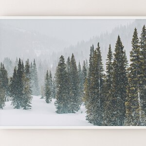 SET OF 6 Winter Forest Prints , Reindeer Photo, Chalet, Snow Christmas ...