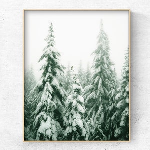 Druckbare Winterwald Foto, Schnee Weihnachten skandinavischen Wand Dekor Digital Art Print, Instant Download