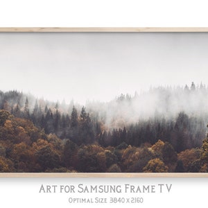 Samsung Frame TV art, Farmhouse TV art, 4K digital art for TV display, instant download, Forest photo