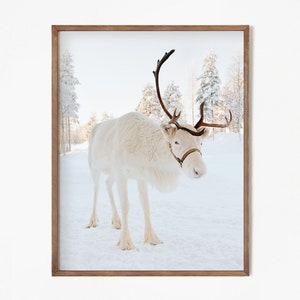 Photo imprimable de renne, impression de forêt de neige, décor rustique d'hiver de pépinière, art de ferme, impression numérique verticale d'hiver, téléchargement immédiat