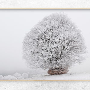 Printable Winter forest Photo, monochrome scandinave wall Decor, all white Digital Art Print, Instant Download