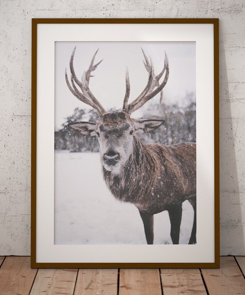 SET OF 6 Winter Forest Prints , Reindeer Photo, Log Cabin , Christmas ...