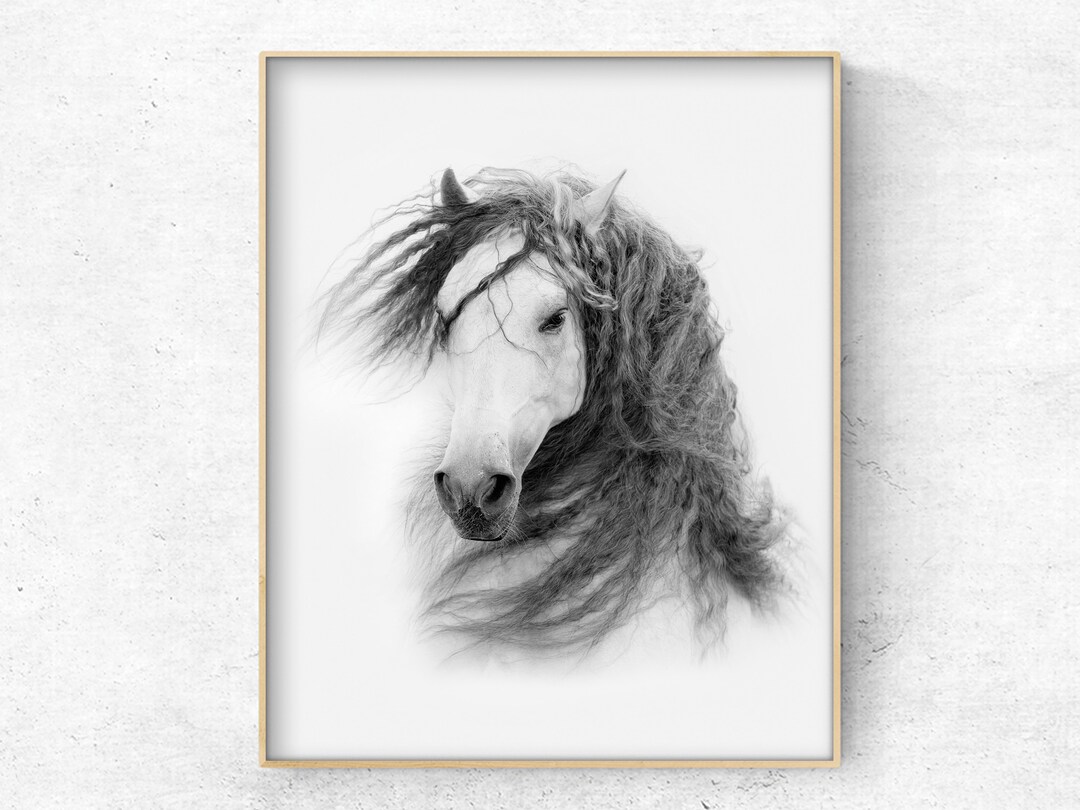 White Horse Photo Download Printable Black and White Digital Print - Etsy