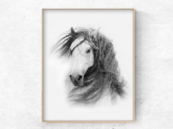White horse photo Download Printable black and white digital | Etsy