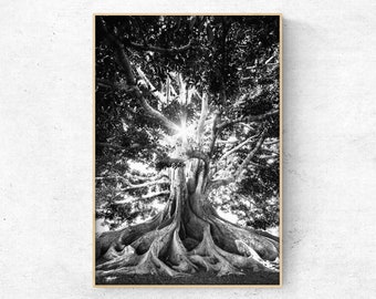 Afdrukbare Bosfoto, zwart-wit boerderij decor, Boom Digitale Print, Instant Download